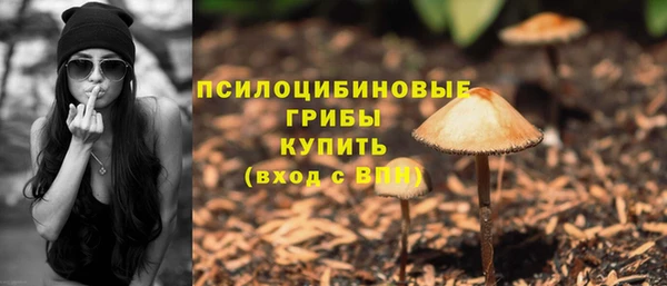 прущие крисы Аркадак