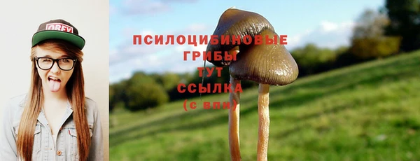 трава Арсеньев
